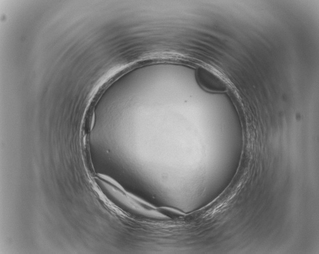 X0000053091037200508081305