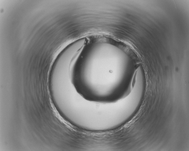 X0000053091038200508081305