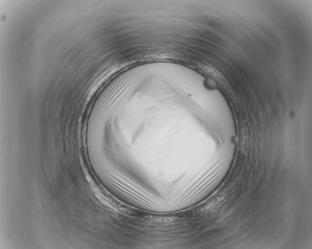 X0000053091039200508081305