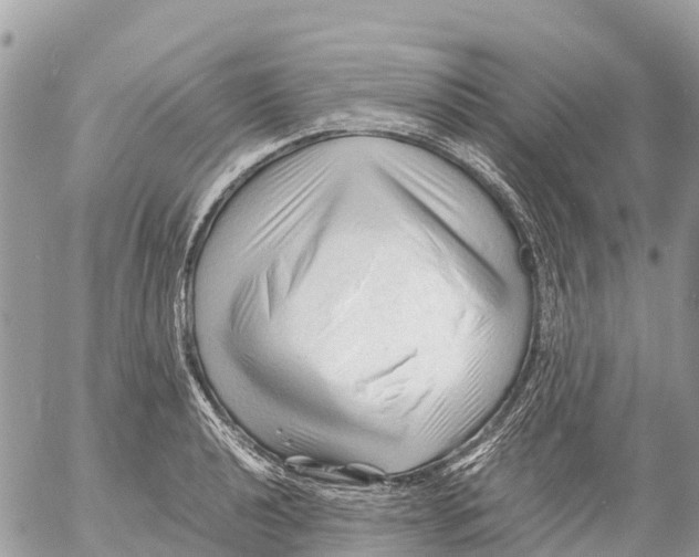 X0000053091040200508081305