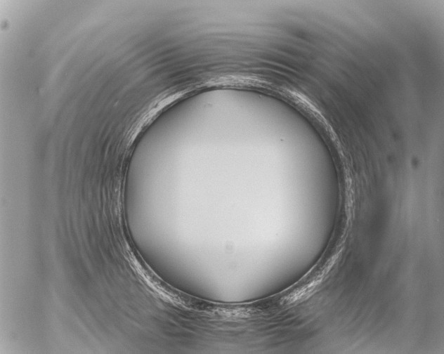 X0000053091041200508081305