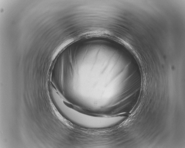 X0000053091042200508081305