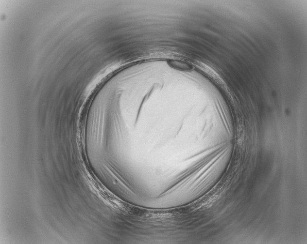 X0000053091043200508081305