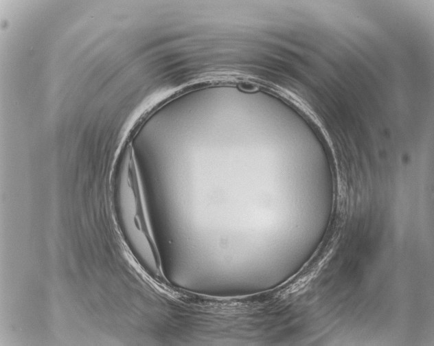 X0000053091045200508081306