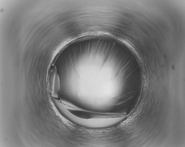 X0000053091046200508081306