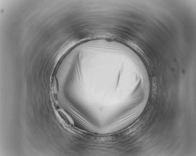 X0000053091047200508081306