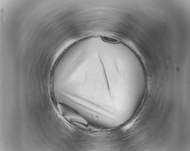 X0000053091048200508081306