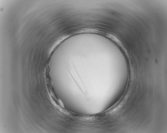 X0000053091049200508081306