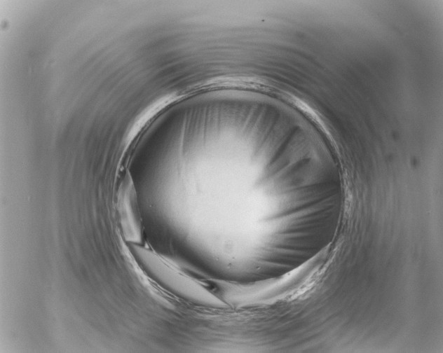 X0000053091050200508081306