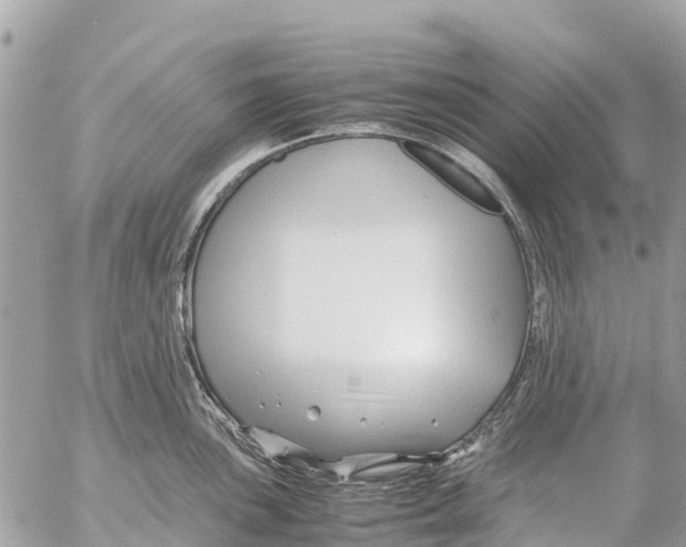 X0000053091051200508081306