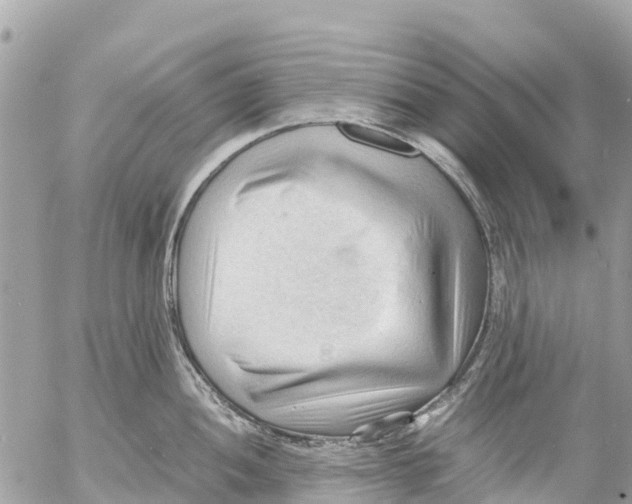 X0000053091052200508081306