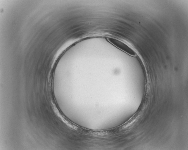 X0000053091053200508081306