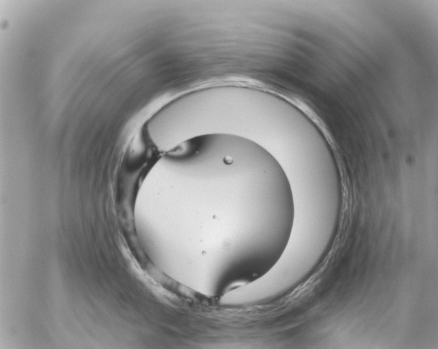 X0000053091054200508081306