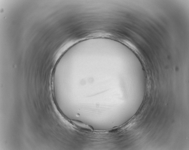 X0000053091055200508081306