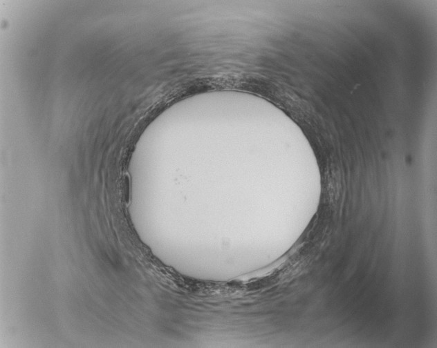 X0000053091057200508081305