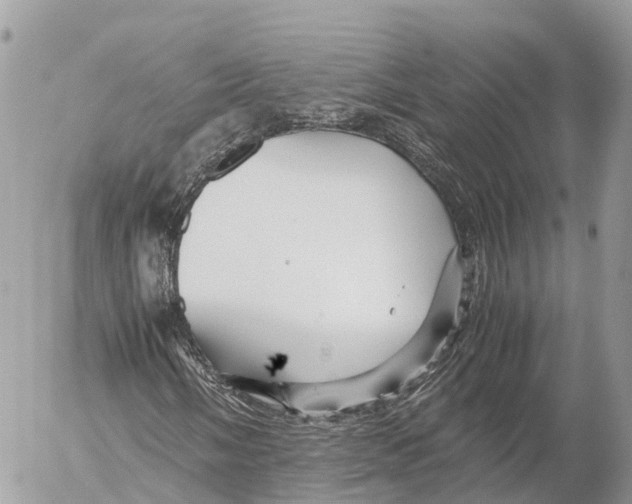 X0000053091058200508081305