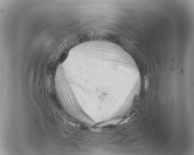 X0000053091059200508081305