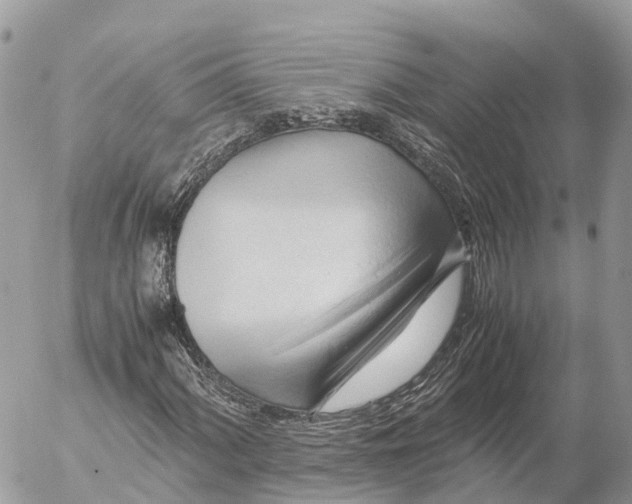 X0000053091060200508081305