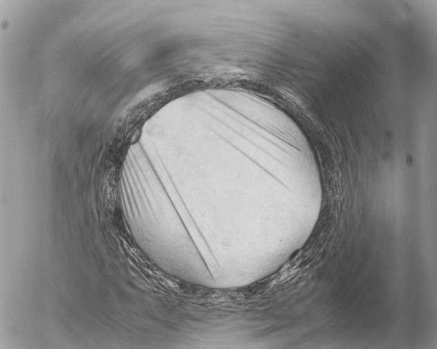 X0000053091063200508081305