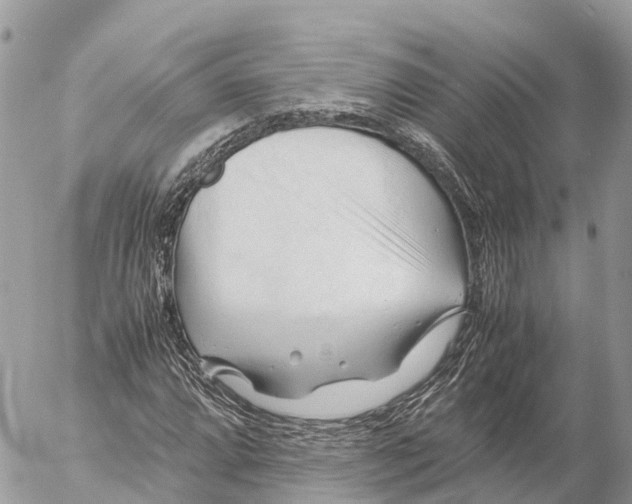 X0000053091064200508081305