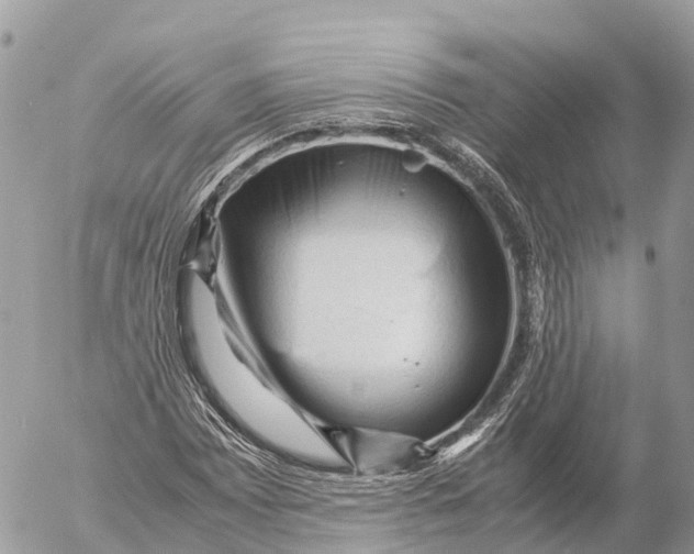 X0000053091065200508081305