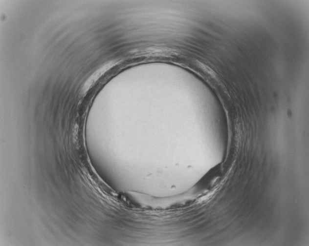 X0000053091066200508081305