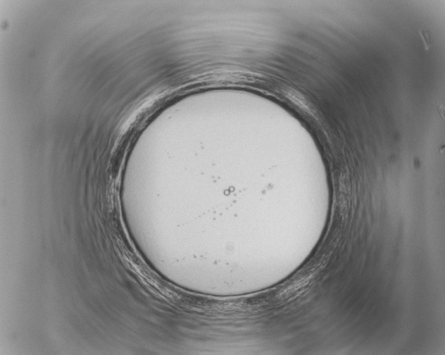 X0000053091067200508081305