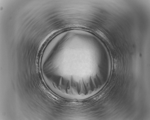 X0000053091068200508081305