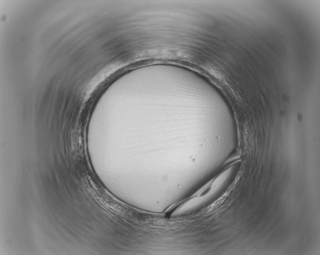 X0000053091070200508081305