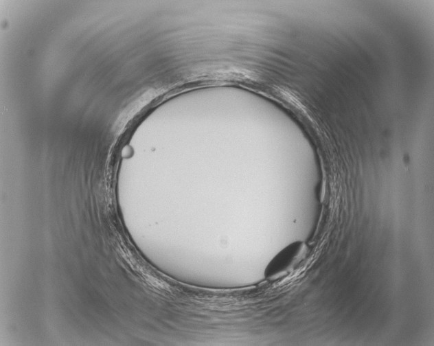 X0000053091071200508081305