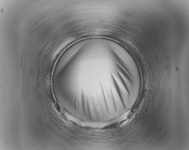 X0000053091073200508081305