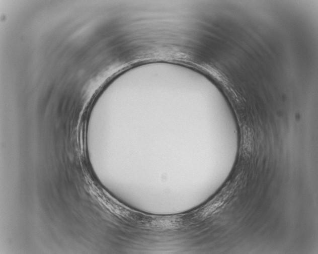 X0000053091078200508081305