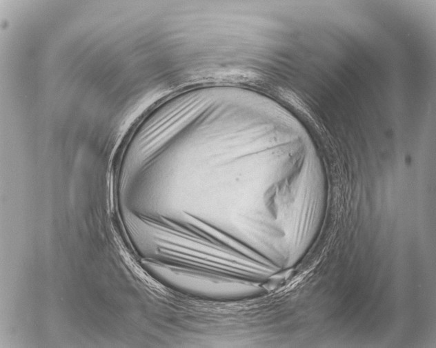 X0000053091079200508081305