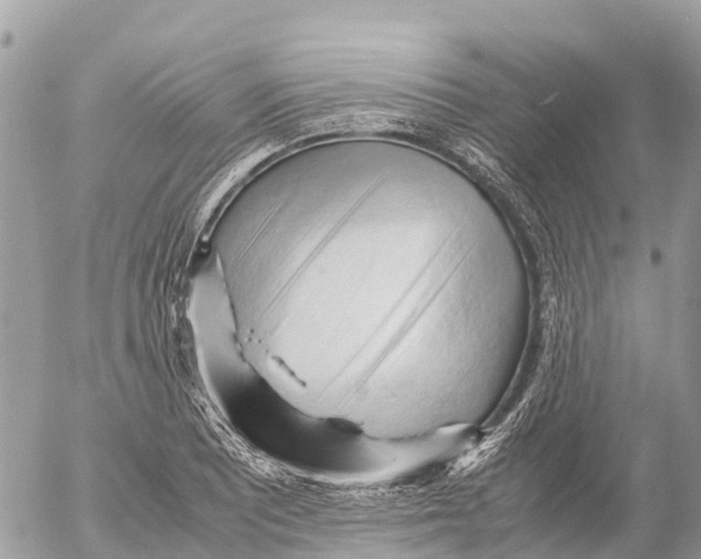 X0000053091081200508081305