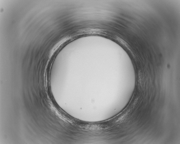 X0000053091082200508081304