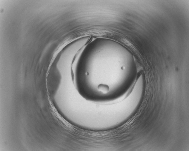 X0000053091083200508081304