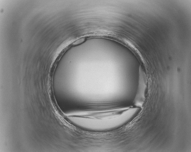 X0000053091085200508081304