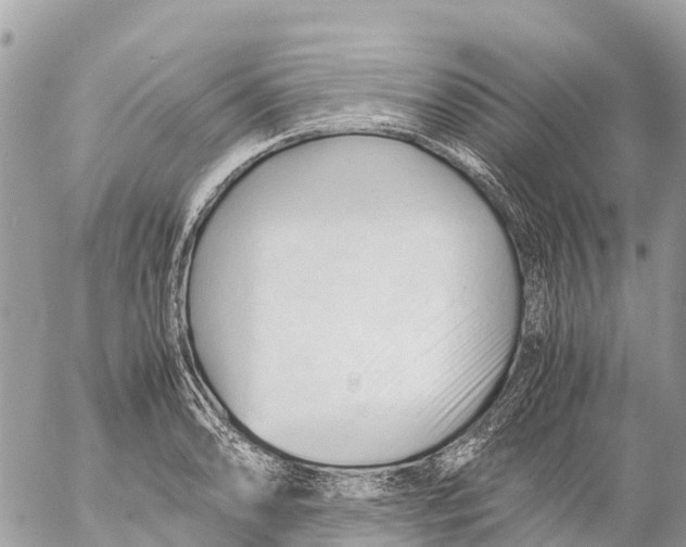 X0000053091086200508081304