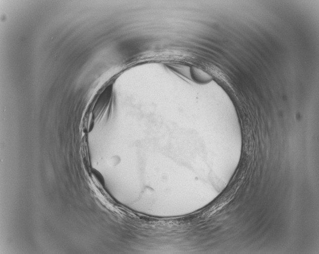 X0000053091087200508081304