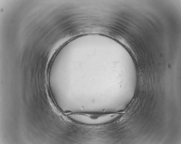 X0000053091088200508081304