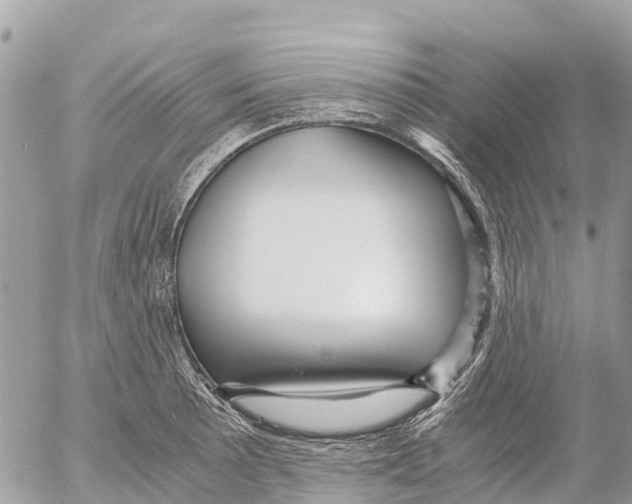 X0000053091089200508081304