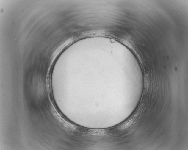 X0000053091090200508081304