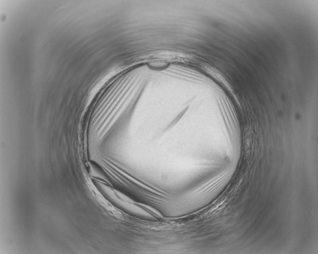 X0000053091091200508081304