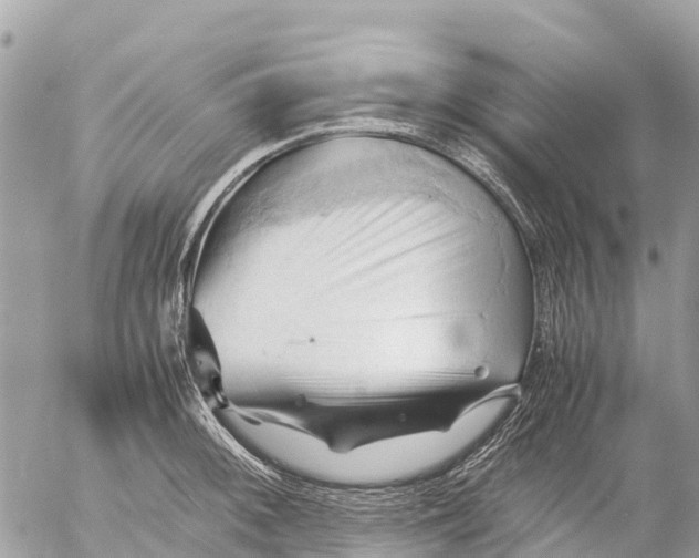 X0000053091092200508081304