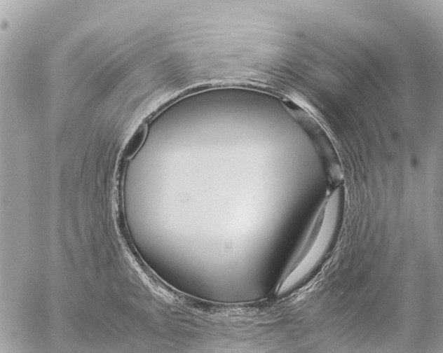 X0000053091093200508081304