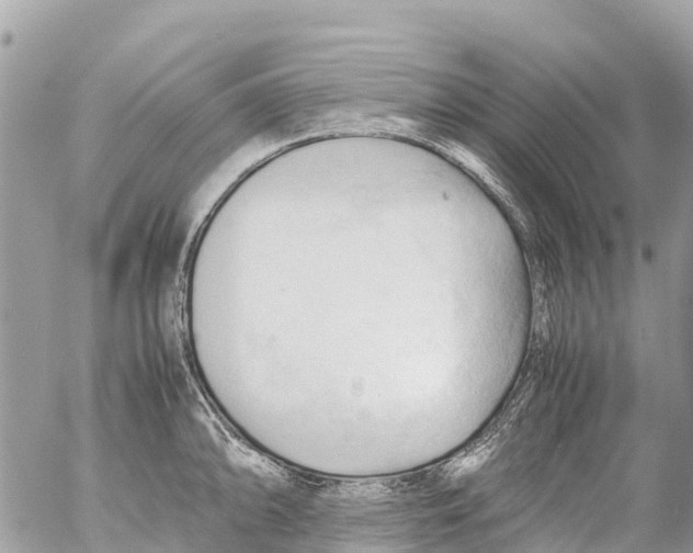 X0000053091094200508081304