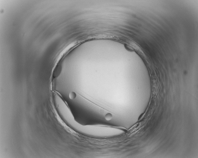 X0000053091095200508081304