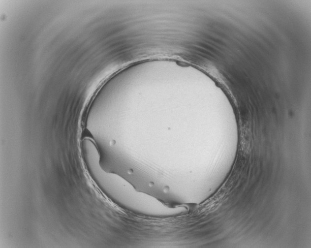 X0000053091096200508081304