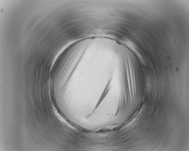 X0000053091100200508081304