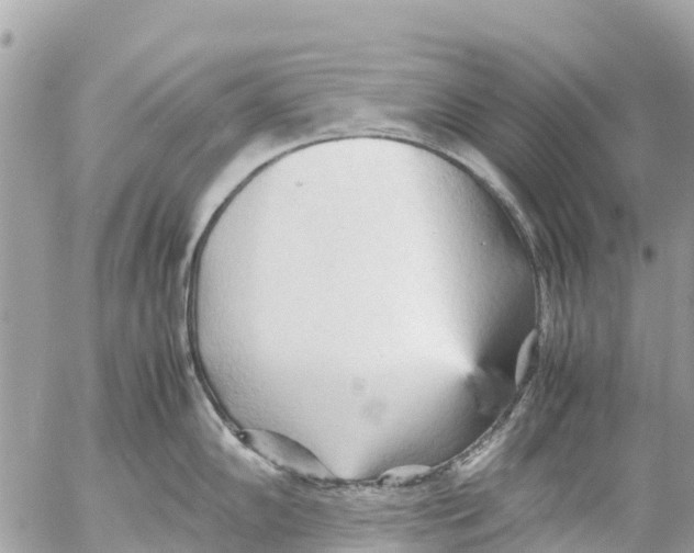 X0000053091102200508081304